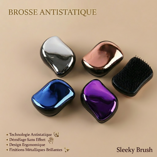 Brosse antistatique - étoile supprimée